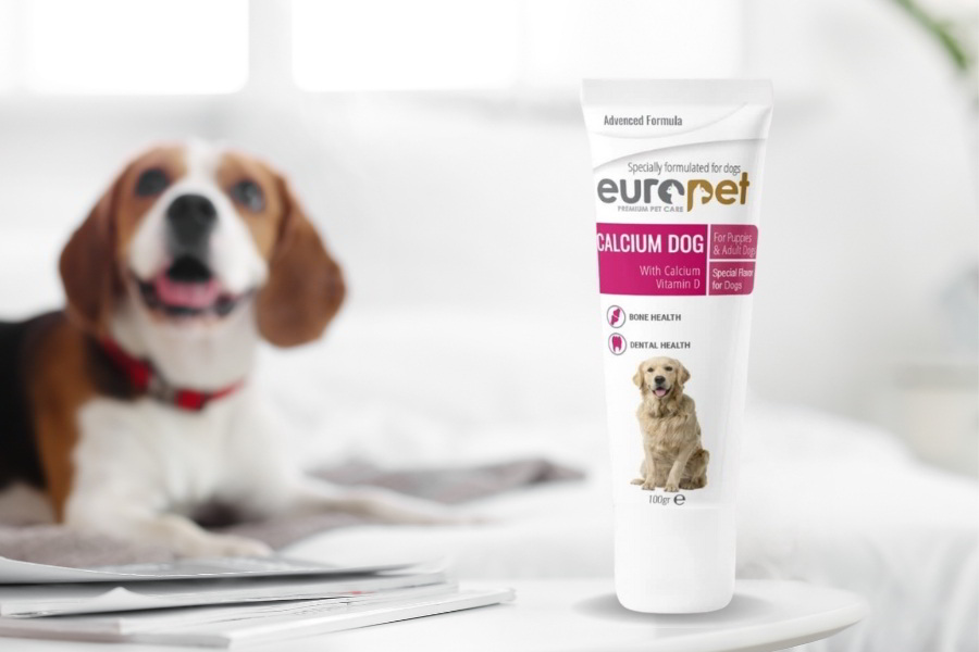 قیمت و خرید خمیر کلسیم برای سگ برند یوروپت ترکیه 