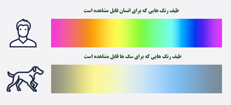 چه رنگ هایی برای سگ ها قابل مشاهده است ؟ 